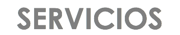 SERVICIOS